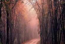 九游会官网：[天下足球]哈兰德“帽子戏法” 曼城逆转取胜.