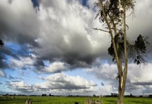 九游会官网：汤普森第10次完成单赛季投进200+三分，NBA历史中仅次于库里.