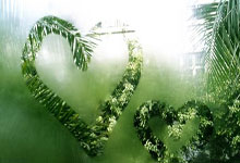 三连冠！“雅思组合”成功卫冕央视新闻客户端.